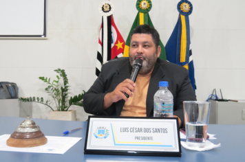 Foto - Sessão ordinária do dia 15 de abril de 2025