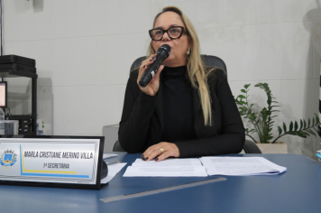 Foto - Sessão ordinária do dia 5 de agosto de 2025.