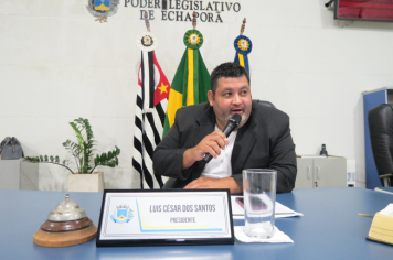 Foto - Sessão ordinária do dia 1 de abril de 2025