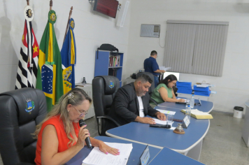 Foto - Sessão ordinária do dia 6 de março de 2025